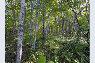 Lot A,C,&d Vanceboro Road, Vanceboro, ME 04619 - Photo 5