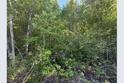 Lot A,C,&d Vanceboro Road, Vanceboro, ME 04619 - Photo 3
