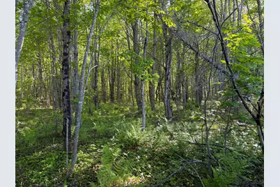 Lot A,C,&d Vanceboro Road, Vanceboro, ME 04619 - Photo 7
