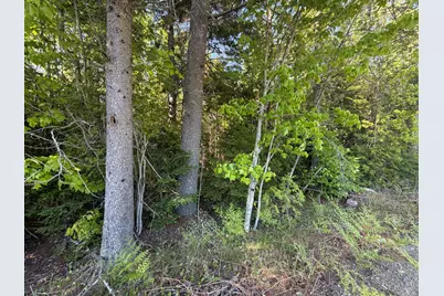 Lot A,C,&d Vanceboro Road, Vanceboro, ME 04619 - Photo 9