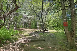 312 Moosehead Lake Rd, Greenville, ME 04441 - Photo 49