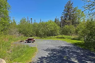 312 Moosehead Lake Rd, Greenville, ME 04441 - Photo 47