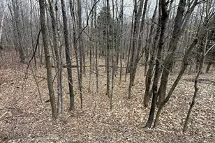 131 Mercer Rd, Rome, ME 04963 - Photo 5