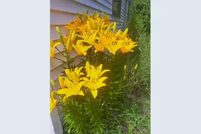 202 Middle Road, Oakland, ME 04963 - Photo 49