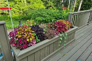 202 Middle Rd, Oakland, ME 04963 - Photo 33