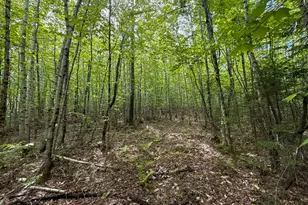 11 Bartlett Rd, Springfield, ME 04487 - Photo 35