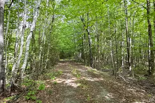 11 Bartlett Rd, Springfield, ME 04487 - Photo 29