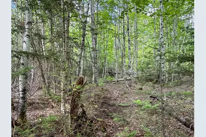 11 Bartlett Road, Springfield, ME 04487 - Photo 33