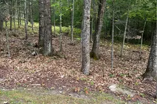 284 Frank Savage Rd, Bingham, ME 04920 - Photo 23