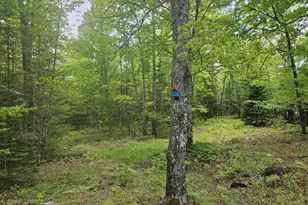 284 Frank Savage Rd, Bingham, ME 04920 - Photo 7
