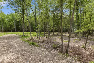 0 Buzzell Road, Acton, ME 04001 - Photo 9