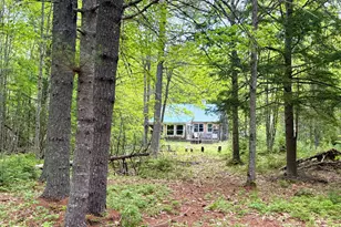Map03Lot01 White Birch Ln, Passadumkeag, ME 04475 - Photo 33