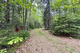 Map03Lot01 White Birch Ln, Passadumkeag, ME 04475 - Photo 41