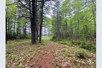 Map03Lot01 White Birch Lane, Passadumkeag, ME 04475 - Photo 45
