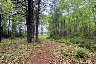 Map03Lot01 White Birch Ln, Passadumkeag, ME 04475 - Photo 45