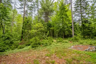M5 L28 Cemetery Rd, Guilford, ME 04443 - Photo 35