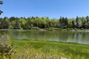 441 Seal Harbor Rd, Saint George, ME 04860 - Photo 45