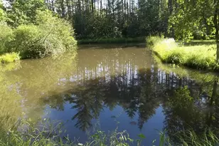 16 Cowboy Ln, Whitefield, ME 04353 - Photo 17