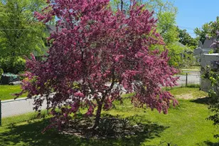 13 Norris St, Searsport, ME 04974 - Photo 45