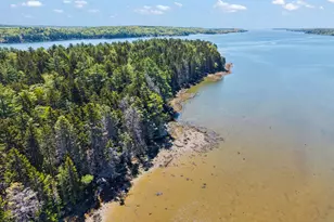 45 Bradley Rd, Westport, ME 04578 - Photo 95