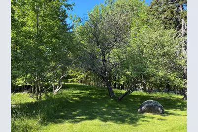 707 Newbury Neck Road Road, Surry, ME 04684 - Photo 33