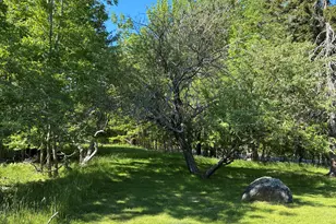 707 Newbury Neck Road Rd, Surry, ME 04684 - Photo 33