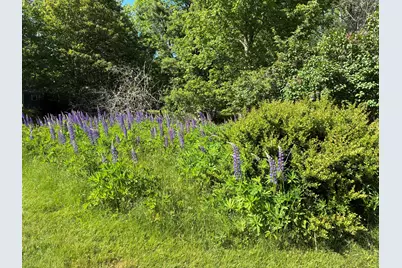 707 Newbury Neck Road Road, Surry, ME 04684 - Photo 37