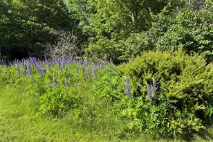 707 Newbury Neck Road Rd, Surry, ME 04684 - Photo 37