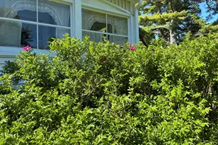 707 Newbury Neck Road Rd, Surry, ME 04684 - Photo 39