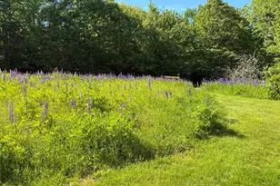 707 Newbury Neck Road Rd, Surry, ME 04684 - Photo 31