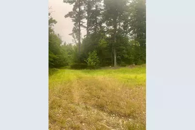 Lot 3A Allen Mountain Trail, Denmark, ME 04022 - Photo 5