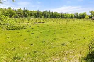 468 Hinckley Ridge Rd, Blue Hill, ME 04614 - Photo 67