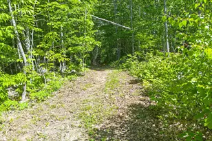 544 Whitefield Rd, Pittston, ME 04345 - Photo 85
