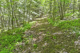 544 Whitefield Rd, Pittston, ME 04345 - Photo 89