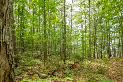 21-A Map 12, Lot21-A Bristol Road, Bristol, ME 04539 - Photo 7