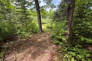 194 Meadow Rd, Hudson, ME 04449 - Photo 15