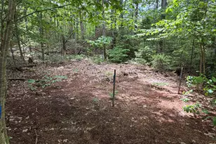 194 Meadow Rd, Hudson, ME 04449 - Photo 19
