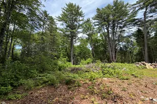 194 Meadow Rd, Hudson, ME 04449 - Photo 13