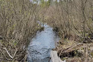 [Address not provided], Silver Ridge Twp, ME 04776 - Photo 21