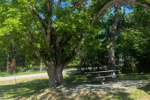537 Millvale Rd, Bucksport, ME 04416 - Photo 43