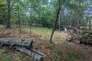 537 Millvale Rd, Bucksport, ME 04416 - Photo 63