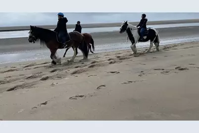 823 Popham Road, Phippsburg, ME 04562 - Photo 59