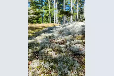 7 Young Road, Vinalhaven, ME 04863 - Photo 9