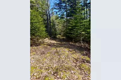 7 Young Road, Vinalhaven, ME 04863 - Photo 19