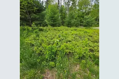 515 Dodlin Road, Enfield, ME 04493 - Photo 49