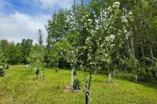 515 Dodlin Rd, Enfield, ME 04493 - Photo 55