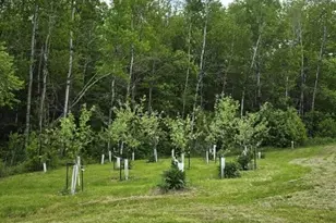 515 Dodlin Rd, Enfield, ME 04493 - Photo 53