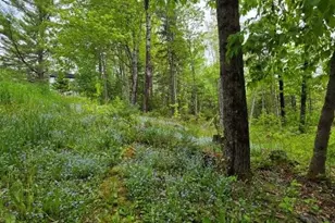 515 Dodlin Rd, Enfield, ME 04493 - Photo 49