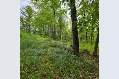 515 Dodlin Road, Enfield, ME 04493 - Photo 47