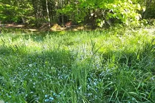 515 Dodlin Rd, Enfield, ME 04493 - Photo 63